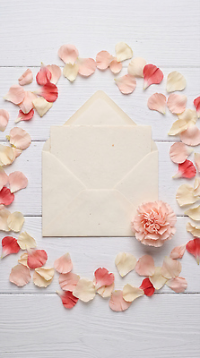 JPG 편집이미지 꽃잎 꽃 분홍색 탁자 봉투 장식 흰색 중앙 편지 편집실사 AI포토 AI콘텐츠 식물 컬러 가구 CG 파일형식