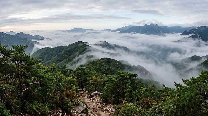 JPG 나무 편집이미지 자연 하늘 날씨 산 풍경 바위 숲 산맥 편집실사 AI컴퓨터그래픽 AI콘텐츠 식물 CG 생태계 파일형식