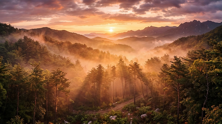 JPG 나무 편집이미지 자연 하늘 산 풍경 빛 태양 노을 숲 산맥 편집실사 AI컴퓨터그래픽 AI콘텐츠 자연요소 식물 CG 생태계 파일형식