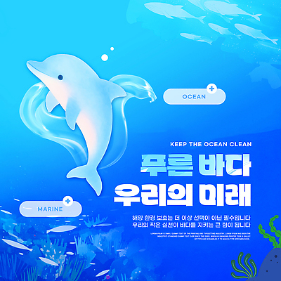 동물 템플릿 기념일 컨셉 포유류 자연 수중동물 보호 파일형식 실천 돌고래 바다 환경 캠페인 미래 PSD 이미지템플릿 자연보호 바다의날