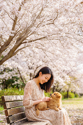 JPG 나무 편집이미지 공원 여자 꽃 행복 벤치 자연 사랑 한명 웃음 일상 친구 반려동물 봄 개 의료성형뷰티 편집실사 AI인물포토 AI콘텐츠 식물 동물 1 계절 공공시설 감정 의자 포유류 관계 표정 사람 라이프 CG 생태계 파일형식 AI포토