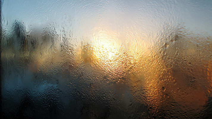 JPG 나무 편집이미지 창문 자연 유리 하늘 아침 날씨 따뜻함 풍경 빛 햇빛 반사 물방울 서리 편집실사 AI포토 AI콘텐츠 주간 식물 재질 CG 생태계 파일형식