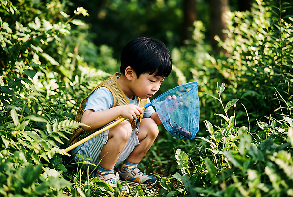 JPG 나무 편집이미지 어린이 곤충 자연 실험 소년 여름 탐험 잡기 체험 풀 숲 채집망 사슴벌레 장수풍뎅이 편집실사 AI인물포토 AI콘텐츠 식물 동물 계절 남자 컨셉 모션 사람 CG 생태계 파일형식 AI포토