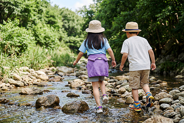JPG 나무 편집이미지 어린이 가족 자연 물 여름 친구 걷기 돌 도시 풀 개울 편집실사 AI인물포토 AI콘텐츠 자연요소 식물 계절 관계 모션 사람 강 CG 생태계 파일형식 AI포토