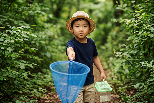 JPG 나무 편집이미지 자연 소년 여름 탐험 숲 채집망 채집통 편집실사 AI인물포토 AI콘텐츠 식물 계절 남자 어린이 통 CG 생태계 파일형식 AI포토