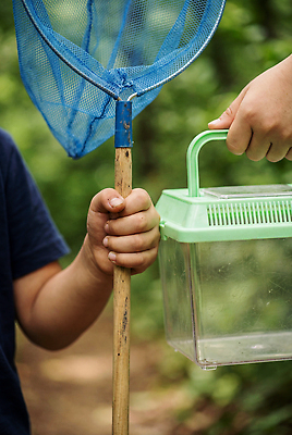 JPG 편집이미지 손 어린이 자연 놀이 소년 여름 탐험 숲 수집 채집망 채집통 의료성형뷰티 편집실사 AI인물포토 AI콘텐츠 계절 남자 통 사람 신체부위 CG 생태계 파일형식 AI포토