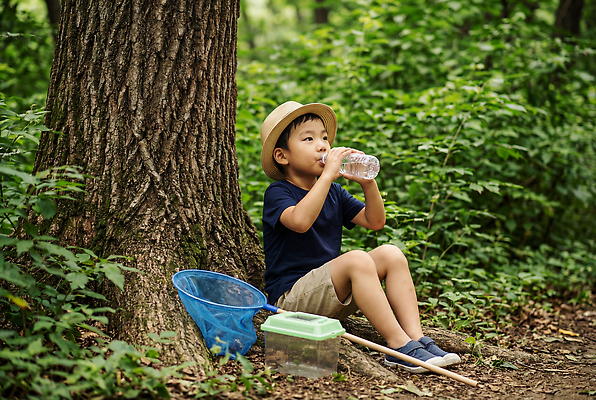 JPG 나무 편집이미지 어린이 자연 휴식 통 소년 물 여름 탐험 도구 숲 시원함 갈증 생태계 채집망 채집통 편집실사 AI인물포토 AI콘텐츠 자연요소 식물 계절 남자 컨셉 사람 CG 파일형식 AI포토