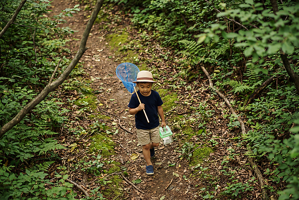 JPG 나무 편집이미지 길 어린이 자연 소년 야외 여름 탐험 숲 곤충채집 채집망 채집통 혼자 편집실사 AI인물포토 AI콘텐츠 식물 계절 남자 곤충 통 사람 수집 CG 생태계 파일형식 AI포토