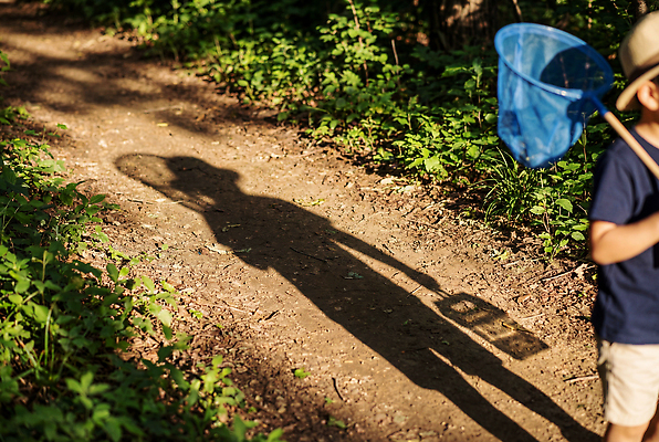 JPG 나무 편집이미지 길 어린이 자연 그림자 소년 여름 탐험 풀 숲 채집망 채집통 편집실사 AI인물포토 AI콘텐츠 식물 계절 남자 통 사람 CG 생태계 파일형식 AI포토