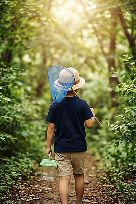 JPG 편집이미지 어린이 모션 자연 소년 여름 햇빛 산책 탐험 숲 오솔길 채집망 채집통 편집실사 AI인물포토 AI콘텐츠 계절 남자 길 휴식 통 사람 빛 CG 생태계 파일형식 AI포토