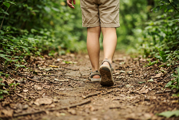 JPG 나무 편집이미지 어린이 자연 소년 야외 여름 걷기 환경 탐험 풀 숲 산길 편집실사 AI인물포토 AI콘텐츠 식물 계절 남자 길 모션 사람 CG 생태계 파일형식 AI포토