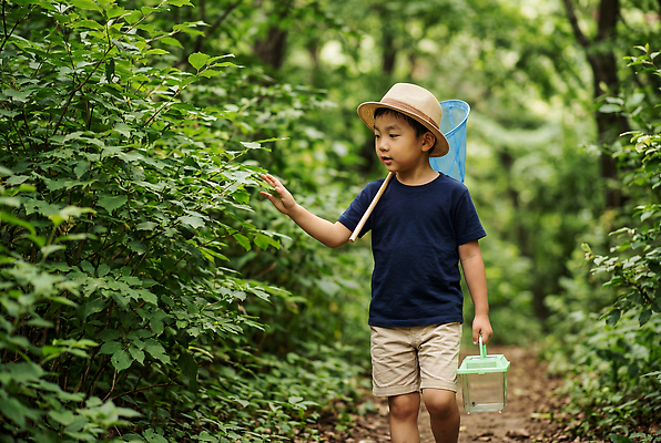 JPG 나무 편집이미지 어린이 모션 자연 소년 여름 소풍 걷기 탐험 체험 숲 탐사 편집실사 AI인물포토 AI콘텐츠 식물 계절 남자 컨셉 사람 야외활동 CG 생태계 파일형식 AI포토