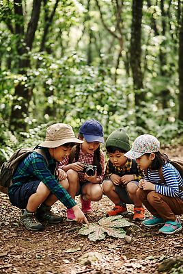 JPG 편집이미지 어린이 자연 놀이 나뭇잎 여름 친구 학습 카메라 환경 촬영 탐험 관찰 숲 즐거움 편집실사 AI인물포토 AI콘텐츠 계절 교육 감정 잎 관계 모션 사람 전자제품 CG 생태계 파일형식 AI포토