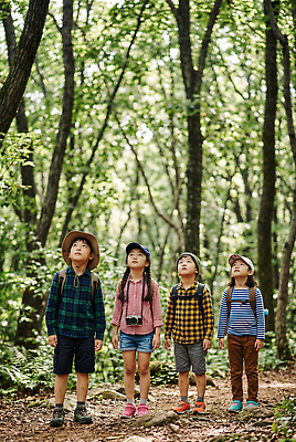 JPG 나무 편집이미지 어린이 자연 하늘 친구 학습 탐험 관찰 시간 숲 편집실사 AI인물포토 AI콘텐츠 식물 교육 관계 모션 사람 CG 생태계 파일형식 AI포토