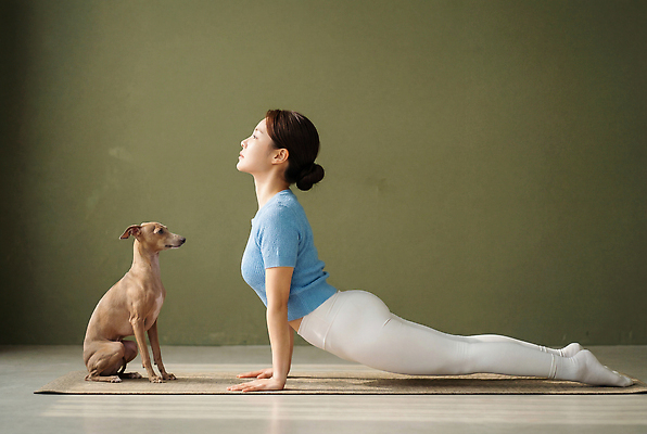 JPG 편집이미지 여자 요가 모션 실내 건강 운동 스트레칭 매트 개 강아지 집중 고양이자세 편집실사 AI인물포토 AI콘텐츠 웰빙 컨셉 포유류 사람 내부 반려동물 요가자세 CG 파일형식 AI포토