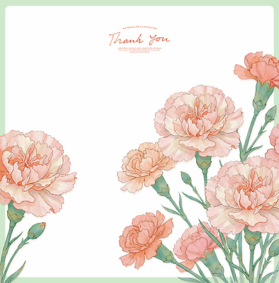 PSD 식물 디자인 기념일 꽃 예술 분홍색 컬러 일러스트 축하 메시지 카네이션 그림 감사 화사함 가정의달 꽃프레임 국내일러스트 감정 컨셉 프레임 이벤트 5월 파일형식