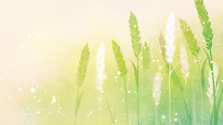 JPG 식물 백그라운드 일러스트 자연 하늘 수채화 풍경 연두색 여름 청보리 청보리밭 국내일러스트 AI일러스트 AI콘텐츠 계절 밭 초록색 생태계 보리 파일형식
