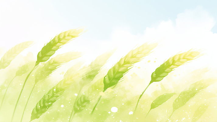 JPG 식물 백그라운드 일러스트 자연 하늘 수채화 풍경 연두색 여름 풀잎 흔들림 청보리 청보리밭 국내일러스트 AI일러스트 AI콘텐츠 계절 잎 밭 모션 초록색 풀 생태계 보리 파일형식