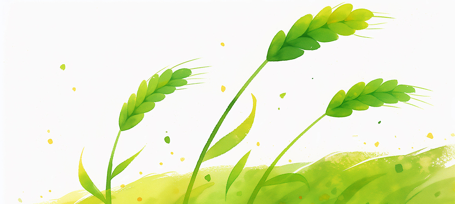 JPG 식물 백그라운드 밭 일러스트 자연 바람 풍경 연두색 농작물 햇빛 청보리 청보리밭 국내일러스트 AI일러스트 AI콘텐츠 자연요소 농업 날씨 초록색 빛 생태계 보리 파일형식