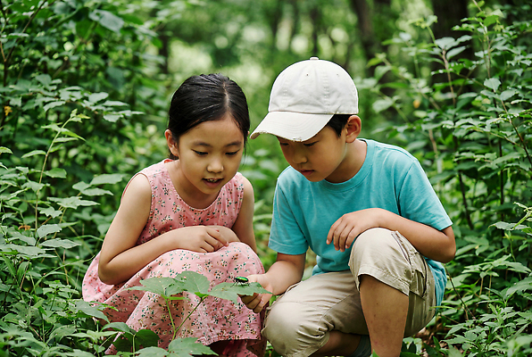 JPG 나무 식물 편집이미지 여자 남자 어린이 자연 대화 초록색 여름 친구 탐험 관찰 숲속 숲 의료성형뷰티 편집실사 AI인물포토 AI콘텐츠 계절 컬러 관계 모션 말하기 사람 CG 생태계 파일형식 AI포토