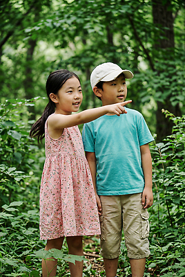 JPG 나무 편집이미지 여자 남자 길 어린이 자연 여름 친구 가리킴 숲속 숲 놀기 의료성형뷰티 편집실사 AI인물포토 AI콘텐츠 식물 계절 관계 모션 사람 손짓 CG 생태계 파일형식 AI포토