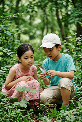 JPG 나무 식물 편집이미지 여자 남자 어린이 자연 여름 친구 탐험 풀 숲속 숲 깃털 호기심 탐색 의료성형뷰티 편집실사 AI인물포토 AI콘텐츠 계절 감정 컨셉 관계 사람 CG 생태계 파일형식 AI포토