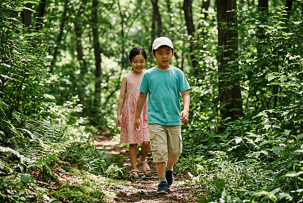 JPG 나무 편집이미지 여자 남자 길 어린이 자연 여름 친구 걷기 산책 탐험 풀 숲속 숲 의료성형뷰티 편집실사 AI인물포토 AI콘텐츠 식물 계절 관계 모션 휴식 사람 CG 생태계 파일형식 AI포토