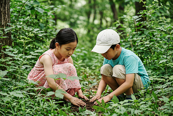 JPG 나무 식물 편집이미지 여자 남자 어린이 자연 소녀 소년 흙 풀 숲속 숲 집중 심기 의료성형뷰티 편집실사 AI인물포토 AI콘텐츠 컨셉 모션 사람 CG 생태계 파일형식 AI포토