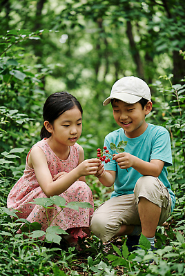 JPG 나무 식물 편집이미지 여자 남자 어린이 자연 여름 관찰 숲속 숲 즐거움 베리 의료성형뷰티 편집실사 AI인물포토 AI콘텐츠 계절 감정 과일 모션 사람 CG 생태계 파일형식 AI포토