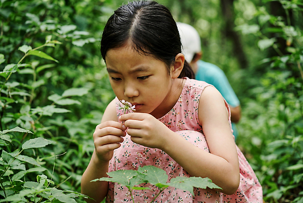 JPG 나무 식물 편집이미지 여자 남자 꽃 어린이 자연 소녀 탐험 관찰 풀 숲속 숲 냄새 의료성형뷰티 편집실사 AI인물포토 AI콘텐츠 모션 사람 CG 생태계 파일형식 AI포토