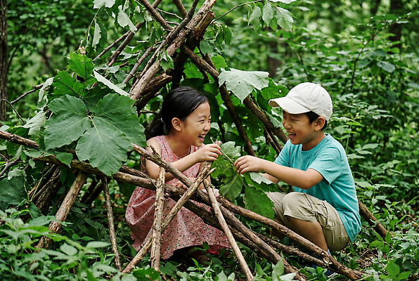 JPG 나무 편집이미지 여자 남자 어린이 잎 자연 놀이 웃음 친구 탐험 숲속 숲 즐거움 집짓기 의료성형뷰티 편집실사 AI인물포토 AI콘텐츠 식물 감정 관계 모션 표정 사람 CG 생태계 파일형식 AI포토