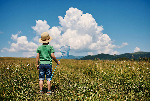JPG 구름 편집이미지 어린이 자연 놀이 하늘 풍경 초원 여름 탐험 채집망 의료성형뷰티 편집실사 AI인물포토 AI콘텐츠 자연요소 계절 사람 CG 생태계 파일형식 AI포토