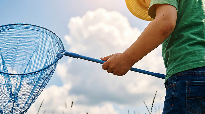 JPG 구름 편집이미지 손 어린이 곤충 자연 놀이 하늘 초원 여름 잡기 채집망 의료성형뷰티 편집실사 AI인물포토 AI콘텐츠 자연요소 동물 계절 모션 사람 신체부위 CG 생태계 파일형식 AI포토