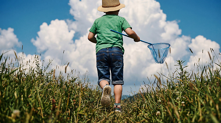 JPG 구름 편집이미지 어린이 자연 놀이 하늘 소년 초원 여름 잡기 채집망 의료성형뷰티 편집실사 AI인물포토 AI콘텐츠 자연요소 계절 남자 모션 사람 CG 생태계 파일형식 AI포토