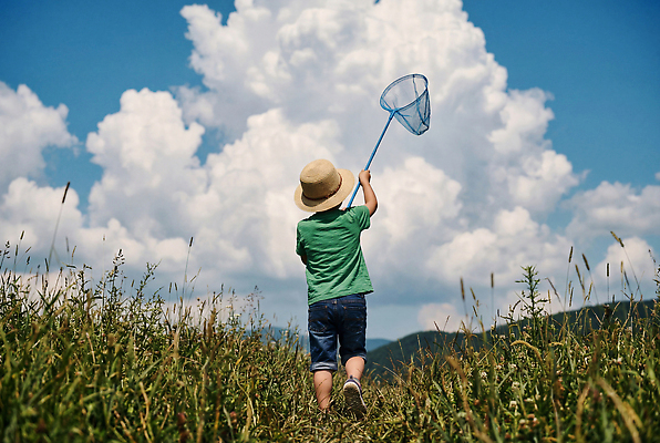 JPG 구름 편집이미지 어린이 자연 놀이 하늘 초원 여름 즐거움 채집망 의료성형뷰티 편집실사 AI인물포토 AI콘텐츠 자연요소 계절 감정 사람 CG 생태계 파일형식 AI포토