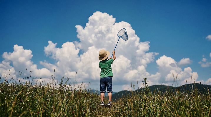 JPG 구름 편집이미지 어린이 자연 놀이 하늘 초원 여름 햇빛 농촌 채집망 의료성형뷰티 편집실사 AI인물포토 AI콘텐츠 자연요소 계절 사람 빛 시골 CG 생태계 파일형식 AI포토