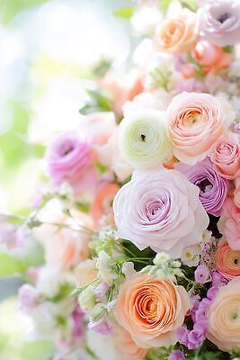 JPG 식물 편집이미지 꽃 꽃다발 햇빛 장미 생화 편집실사 AI컴퓨터그래픽 AI콘텐츠 빛 CG 파일형식