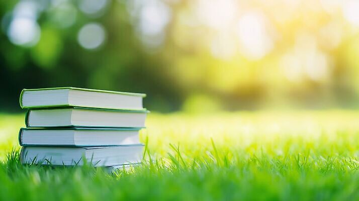 JPG 편집이미지 초원 책 햇빛 쌓기 편집실사 AI컴퓨터그래픽 AI콘텐츠 모션 빛 CG 파일형식