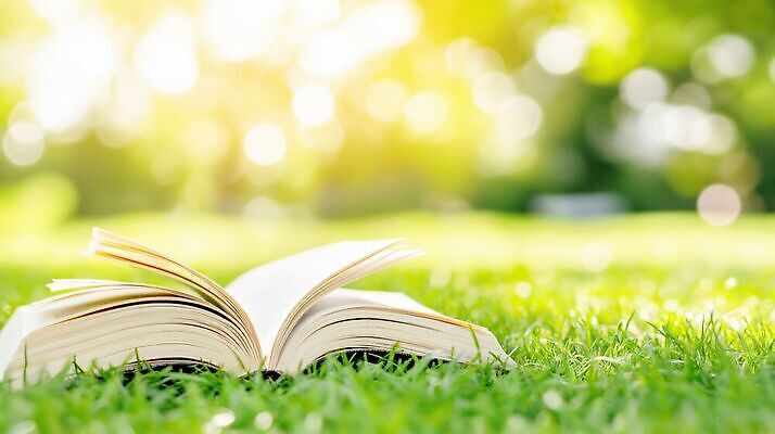 JPG 편집이미지 자연 바람 잔디 책 여름휴가 햇빛 펼침 풀 편집실사 AI컴퓨터그래픽 AI콘텐츠 자연요소 식물 모션 날씨 휴가 빛 CG 생태계 파일형식 여름_계절