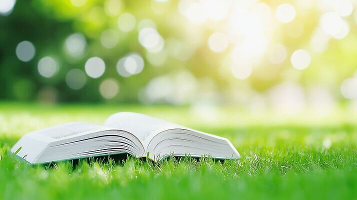 JPG 편집이미지 자연 바람 잔디 책 여름 햇빛 펼침 풀 편집실사 AI컴퓨터그래픽 AI콘텐츠 자연요소 식물 계절 모션 날씨 빛 CG 생태계 파일형식