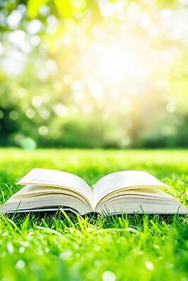 JPG 편집이미지 바람 잔디 초원 책 햇빛 펼침 편집실사 AI컴퓨터그래픽 AI콘텐츠 자연요소 식물 모션 날씨 빛 CG 파일형식