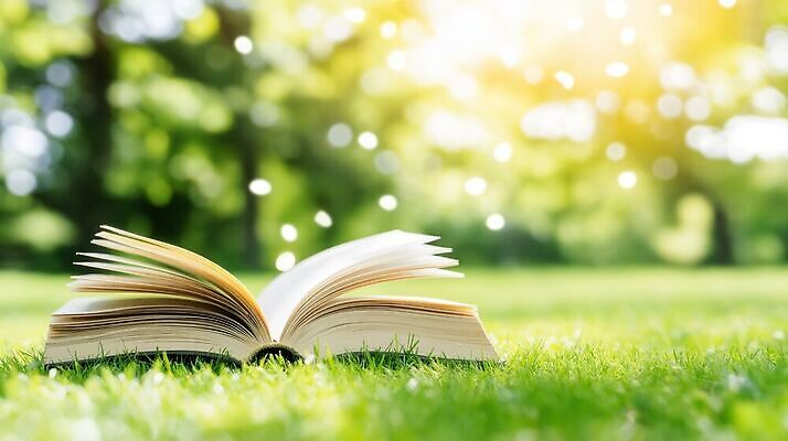 JPG 편집이미지 자연 바람 잔디 책 햇빛 펼침 풀 편집실사 AI컴퓨터그래픽 AI콘텐츠 자연요소 식물 모션 날씨 빛 CG 생태계 파일형식