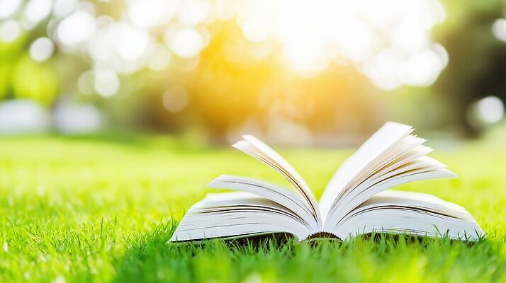 JPG 편집이미지 바람 잔디 책 햇빛 펼침 편집실사 AI컴퓨터그래픽 AI콘텐츠 자연요소 식물 모션 날씨 빛 CG 파일형식