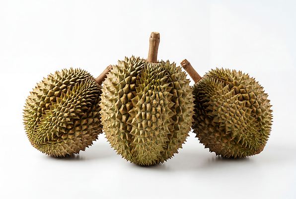 JPG 편집이미지 과일 디저트 열대 가시 열대과일 두리안 편집실사 AI포토 AI콘텐츠 음식 CG 파일형식