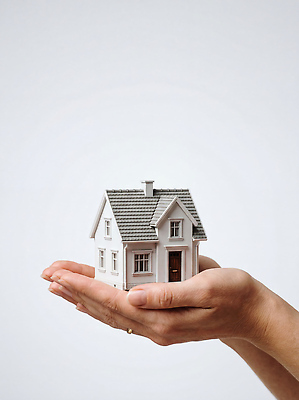 JPG 편집이미지 손 부동산 주택 사람 건물 조형물 모형 의료성형뷰티 편집실사 AI인물포토 AI콘텐츠 건축물 미술 신체부위 재산 CG 파일형식 AI포토