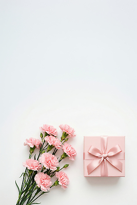 JPG 편집이미지 기념일 꽃 선물 사랑 어버이날 스승의날 카네이션 편집실사 AI포토 AI콘텐츠 식물 감정 이벤트 CG 파일형식