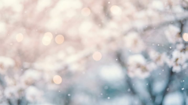 식물 계절 CG 생태계 파일형식 AI콘텐츠 풍경 자연 나무 꽃 하늘 편집이미지 편집실사 JPG 보케 봄 AI컴퓨터그래픽