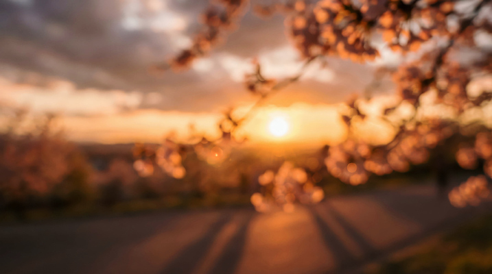 자연요소 식물 계절 꽃 노을 밤 야간 CG 생태계 파일형식 AI콘텐츠 벚꽃 일몰 태양 자연 저녁 나무 빛 하늘 풍경 봄 편집이미지 편집실사 JPG 보케 AI컴퓨터그래픽