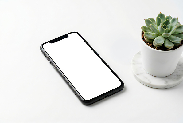 JPG 식물 편집이미지 화분 스마트폰 편집실사 AI컴퓨터그래픽 AI콘텐츠 핸드폰 스마트기기 CG 파일형식