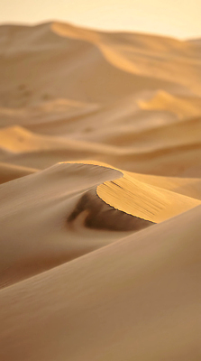 JPG 편집이미지 모래 자연 풍경 사막 언덕 편집실사 AI포토 AI콘텐츠 CG 생태계 파일형식